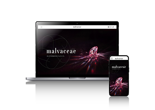 malvaceae_web画像