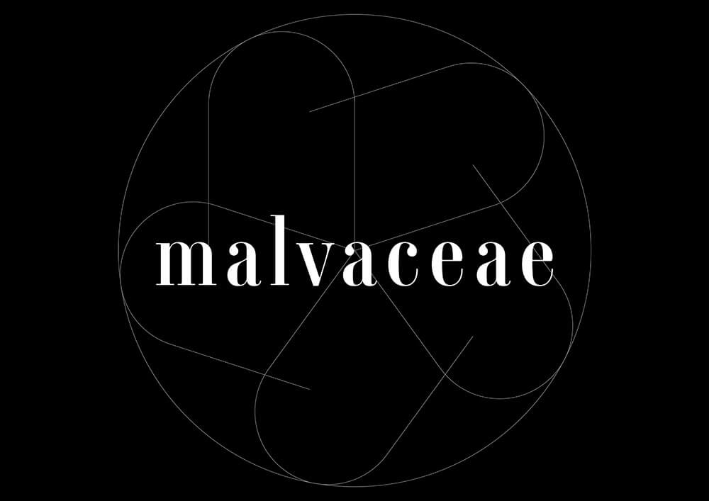 malvaceaeロゴ1