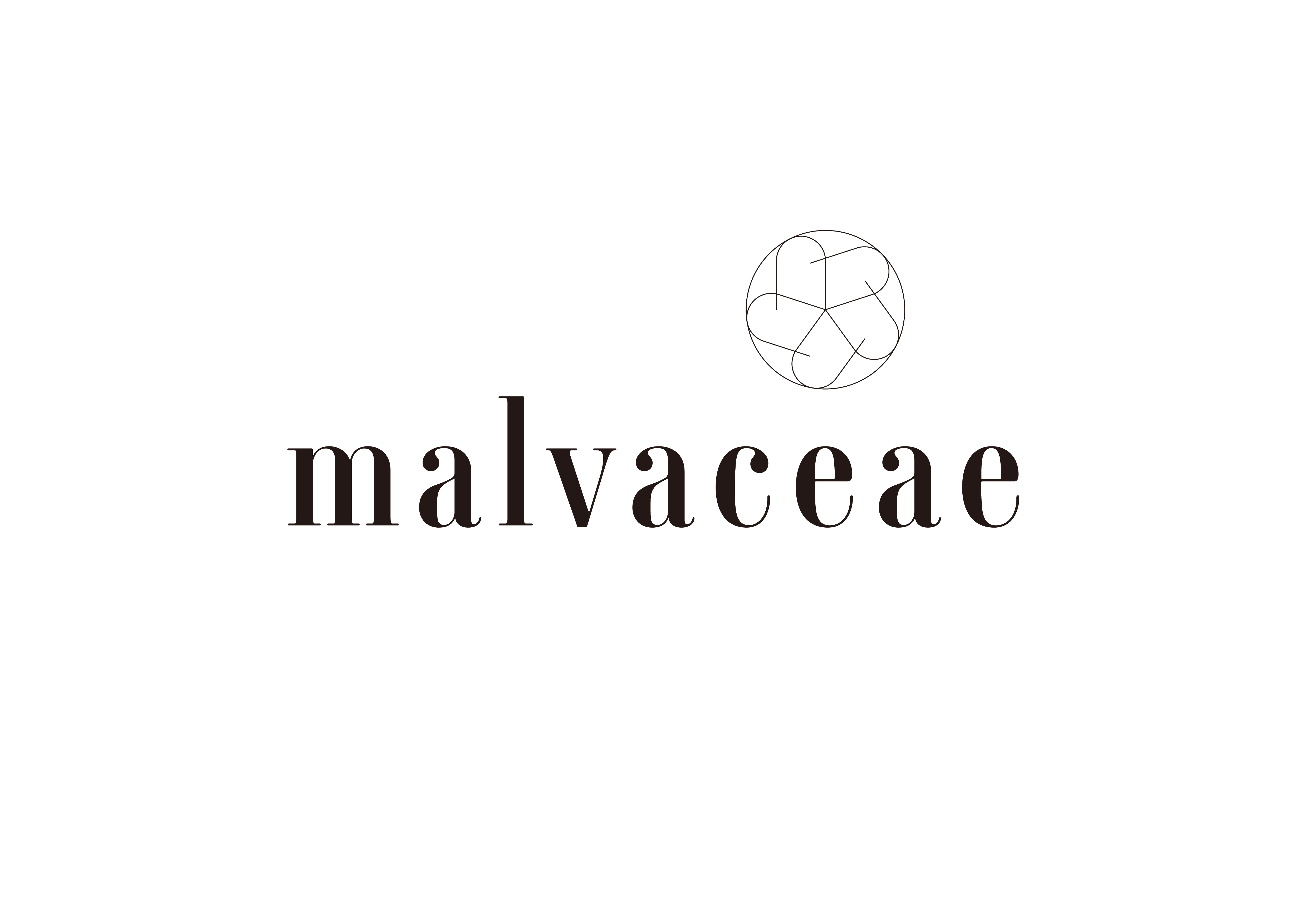 malvaceaeロゴ4