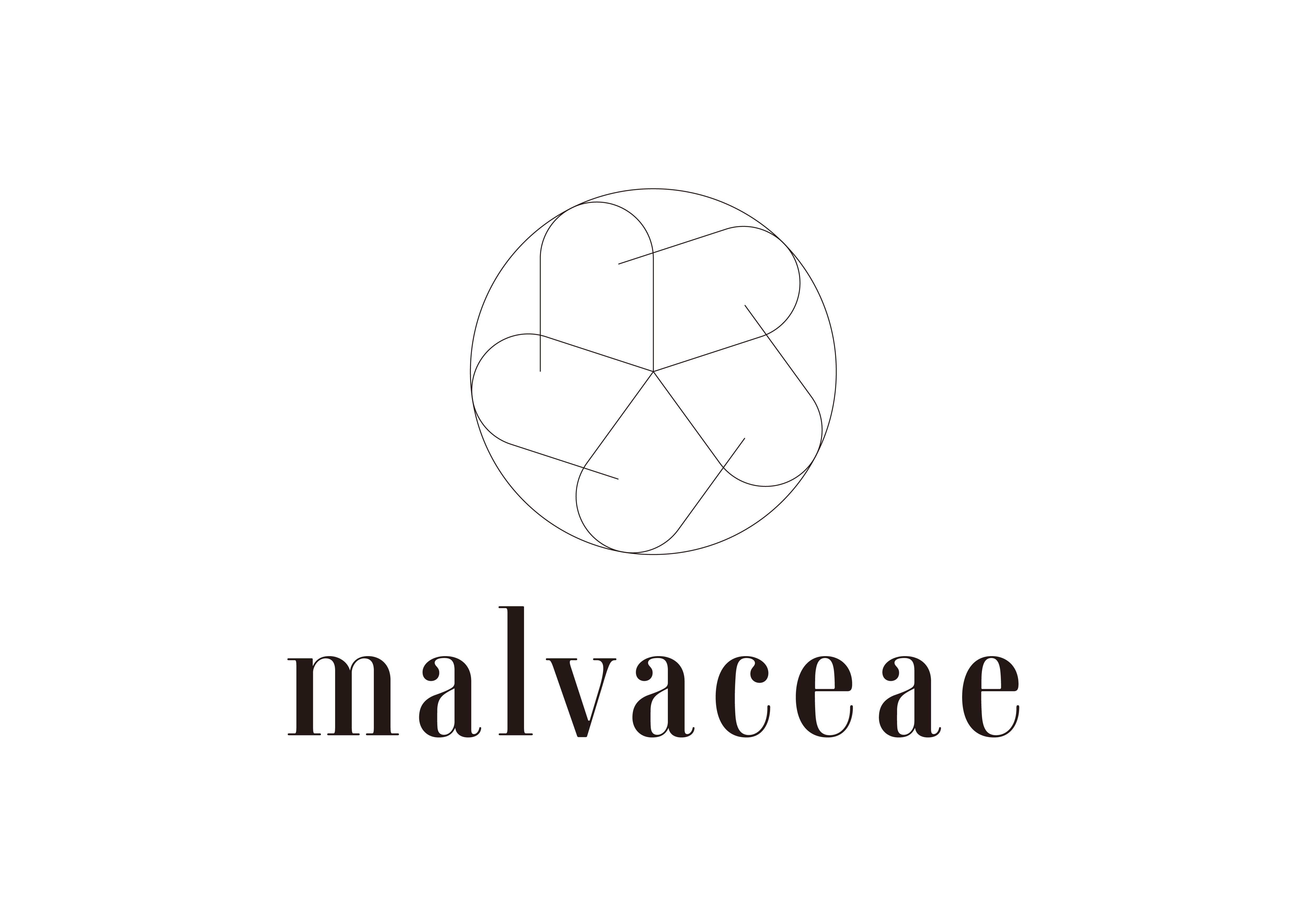 malvaceaeロゴ4